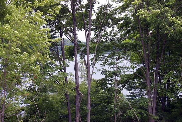 Hidden View