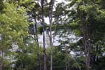 Hidden View